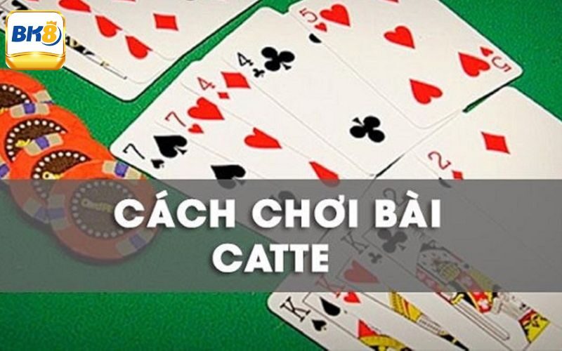 Cách Chơi Bài Catte Đúng Luật Và Chia Sẻ Mẹo Chắc Thắng 2 Giới thiệu chi tiết cách chơi bài Catte chính xác